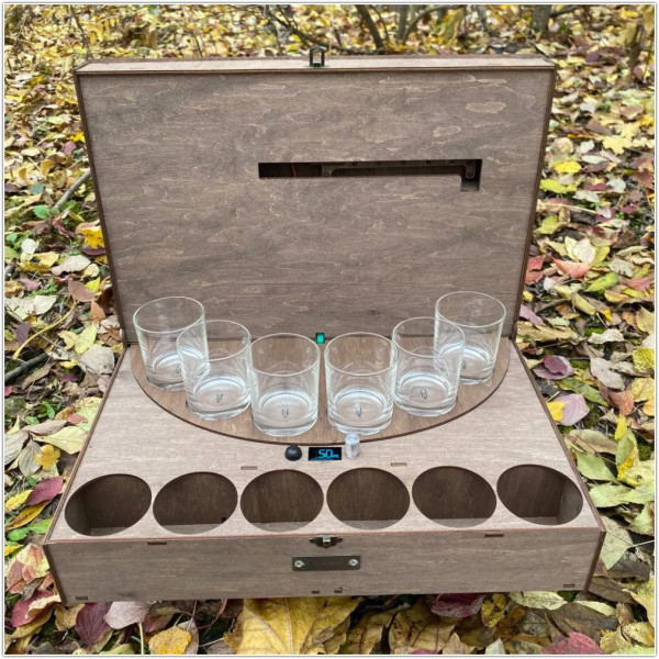 Наливатор для ВІСКІ на 4, 6 стаканів