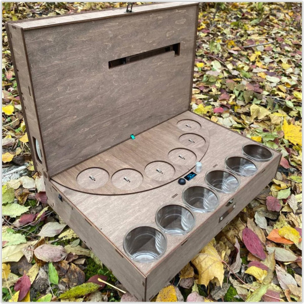 Наливатор для ВІСКІ на 4, 6 стаканів